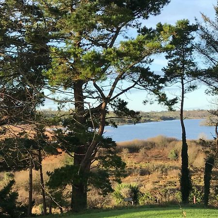 Mick'S Cottage Loughrea Ngoại thất bức ảnh