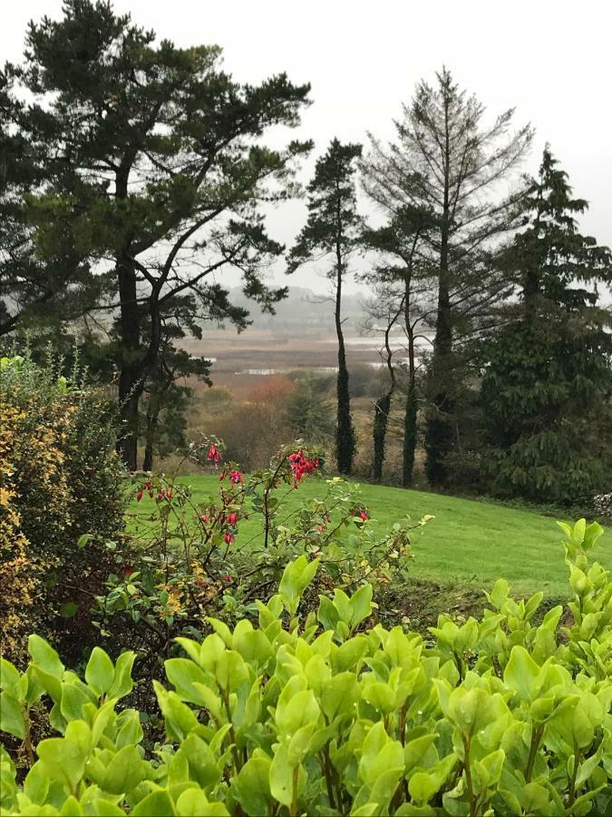 Mick'S Cottage Loughrea Ngoại thất bức ảnh