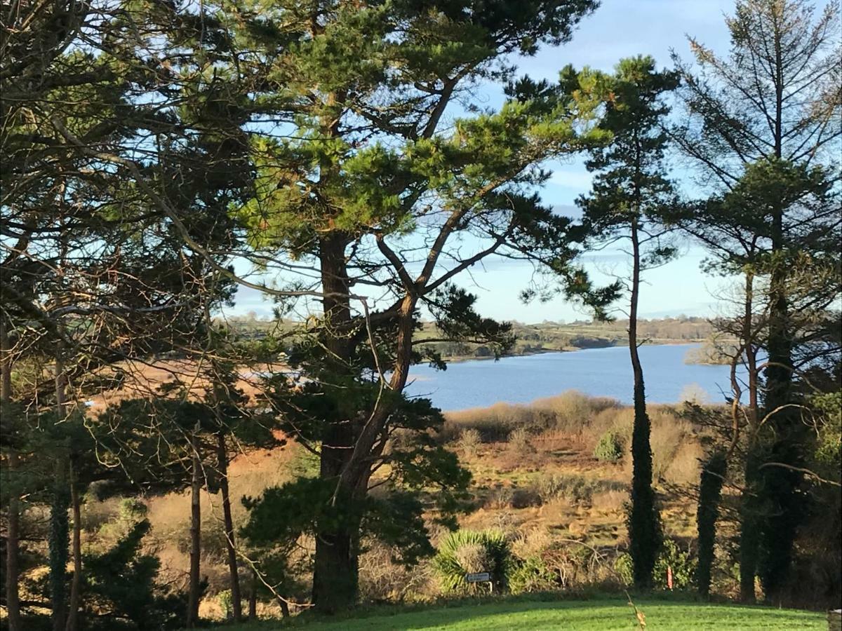 Mick'S Cottage Loughrea Ngoại thất bức ảnh