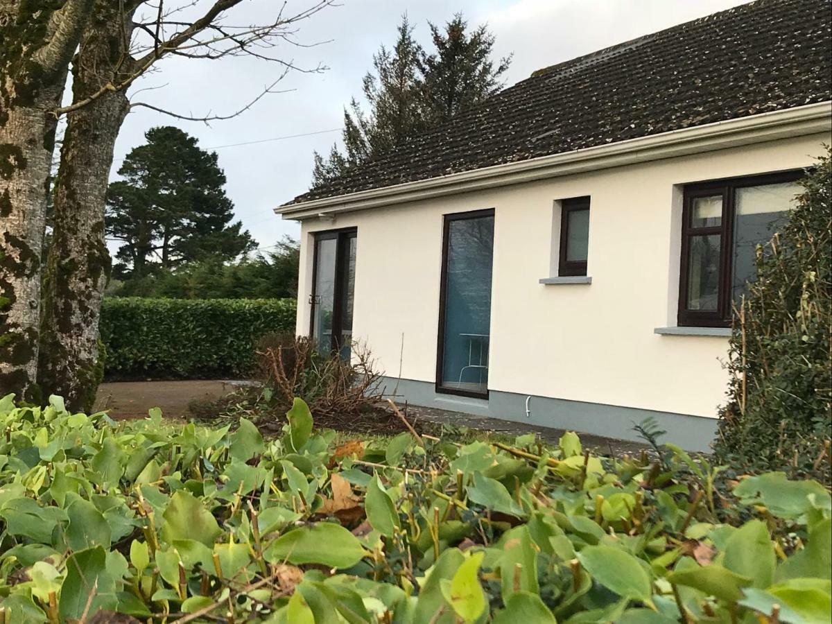 Mick'S Cottage Loughrea Ngoại thất bức ảnh
